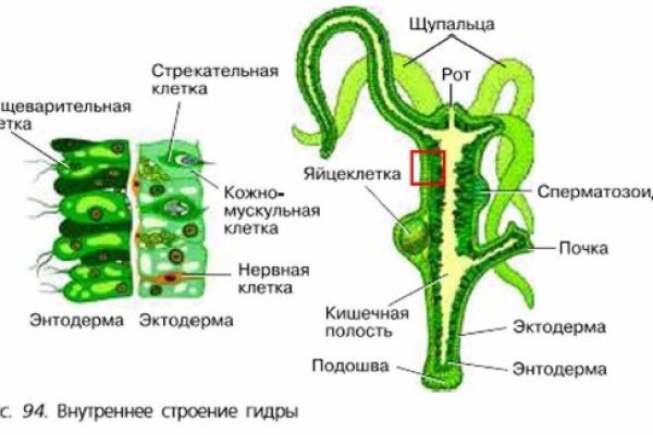 Даркнет кракен