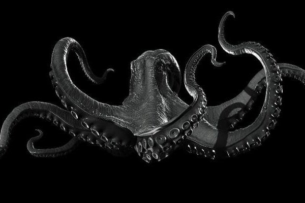 Kraken 12at